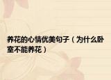 養(yǎng)花的心情優(yōu)美句子（為什么臥室不能養(yǎng)花）