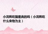小浣熊吃貓是真的嗎（小浣熊吃什么食物為主）