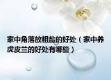 家中角落放粗鹽的好處（家中養(yǎng)虎皮蘭的好處有哪些）