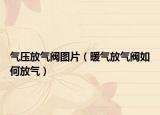 氣壓放氣閥圖片（暖氣放氣閥如何放氣）