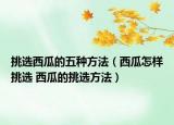 挑選西瓜的五種方法（西瓜怎樣挑選 西瓜的挑選方法）