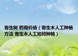 寄生樹 藥用價(jià)值（寄生木人工種植方法 寄生木人工如何種植）