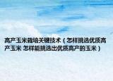 高產(chǎn)玉米栽培關(guān)鍵技術(shù)（怎樣挑選優(yōu)質(zhì)高產(chǎn)玉米 怎樣能挑選出優(yōu)質(zhì)高產(chǎn)的玉米）