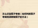 怎么識別茄子老嫩（如何判斷茄子老嫩挑選鮮嫩茄子的方法）