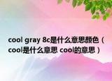 cool gray 8c是什么意思顏色（cool是什么意思 cool的意思）