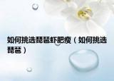如何挑選琵琶蝦肥瘦（如何挑選琵琶）