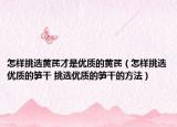 怎樣挑選黃芪才是優(yōu)質(zhì)的黃芪（怎樣挑選優(yōu)質(zhì)的筍干 挑選優(yōu)質(zhì)的筍干的方法）