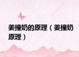 姜撞奶的原理（姜撞奶原理）