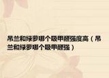 吊蘭和綠蘿哪個(gè)吸甲醛強(qiáng)度高（吊蘭和綠蘿哪個(gè)吸甲醛強(qiáng)）