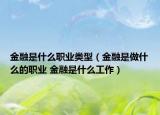 金融是什么職業(yè)類型（金融是做什么的職業(yè) 金融是什么工作）
