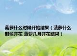 菠蘿什么時候開始結果（菠蘿什么時候開花 菠蘿幾月開花結果）