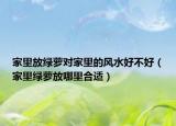 家里放綠蘿對家里的風水好不好（家里綠蘿放哪里合適）