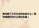 醬肉曬了幾天長白色的是什么（醬肉晾曬時為什么有白色霉）