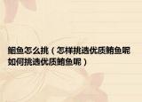 鮰魚怎么挑（怎樣挑選優(yōu)質(zhì)鮪魚呢 如何挑選優(yōu)質(zhì)鮪魚呢）