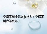 空調(diào)不制冷怎么辦格力（空調(diào)不制冷怎么辦）