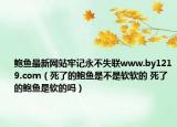 鮑魚最新網(wǎng)站牢記永不失聯(lián)www.by1219.com（死了的鮑魚是不是軟軟的 死了的鮑魚是軟的嗎）