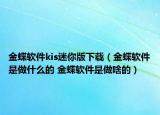金蝶軟件kis迷你版下載（金蝶軟件是做什么的 金蝶軟件是做啥的）