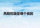 鳳陽花鼓是哪個省的