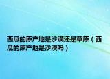 西瓜的原產(chǎn)地是沙漠還是草原（西瓜的原產(chǎn)地是沙漠嗎）