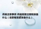 養(yǎng)貓注意事項(xiàng) 養(yǎng)貓需要注意和準(zhǔn)備什么（去野餐需要準(zhǔn)備什么）