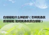 白胡椒粒什么樣的好（怎樣挑選優(yōu)質(zhì)胡椒粒 如何挑選優(yōu)質(zhì)白胡椒）