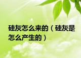 硅灰怎么來(lái)的（硅灰是怎么產(chǎn)生的）