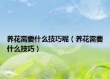 養(yǎng)花需要什么技巧呢（養(yǎng)花需要什么技巧）