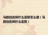 馬的住處叫什么名稱怎么讀（馬的住處叫什么名稱）