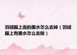 羽絨服上面的墨水怎么去掉（羽絨服上有墨水怎么去除）