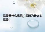 霸陵是什么意思（霸陵為什么叫霸陵）