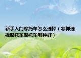 新手入門摩托車怎么選擇（怎樣選擇摩托車摩托車哪種好）