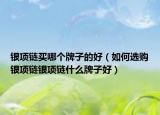 銀項(xiàng)鏈買哪個牌子的好（如何選購銀項(xiàng)鏈銀項(xiàng)鏈?zhǔn)裁磁谱雍茫? /></span></a>
                        <h2><a  title=
