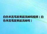 白色羊羔毛發(fā)黃能洗掉嗎視頻（白色羊羔毛發(fā)黃能洗掉嗎）