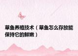 草魚養(yǎng)殖技術（草魚怎么存放能保持它的鮮嫩）