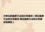月季花的施肥方法和注意事項(xiàng)（豌豆施肥方法和注意事項(xiàng) 豌豆施肥方法和注意事項(xiàng)有哪些）