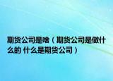期貨公司是啥（期貨公司是做什么的 什么是期貨公司）