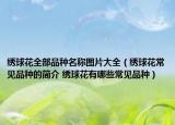 繡球花全部品種名稱圖片大全（繡球花常見品種的簡介 繡球花有哪些常見品種）