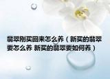 翡翠剛買回來怎么養(yǎng)（新買的翡翠要怎么養(yǎng) 新買的翡翠要如何養(yǎng)）