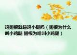 雞翅根就是雞小腿嗎（翅根為什么叫小雞腿 翅根為啥叫小雞腿）