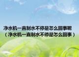凈水機(jī)一直制水不停是怎么回事呢（凈水機(jī)一直制水不停是怎么回事）