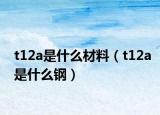 t12a是什么材料（t12a是什么鋼）