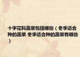 十字花科蔬菜包括哪些（冬季適合種的蔬菜 冬季適合種的蔬菜有哪些）