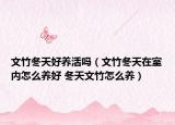 文竹冬天好養(yǎng)活嗎（文竹冬天在室內(nèi)怎么養(yǎng)好 冬天文竹怎么養(yǎng)）