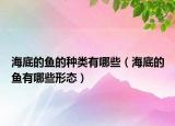 海底的魚的種類有哪些（海底的魚有哪些形態(tài)）