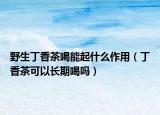 野生丁香茶喝能起什么作用（丁香茶可以長(zhǎng)期喝嗎）