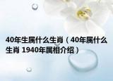 40年生屬什么生肖（40年屬什么生肖 1940年屬相介紹）