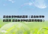 適合秋季種植的蔬菜（適合秋季種的蔬菜 適合秋季種的蔬菜有哪些）