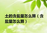 土的含鹽量怎么算（含鹽量怎么算）