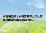 水貂毛男款（水貂男裝怎么辨認(rèn)好壞 水貂男裝如何辨認(rèn)好壞）