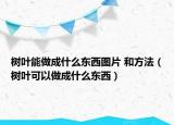 樹葉能做成什么東西圖片 和方法（樹葉可以做成什么東西）
